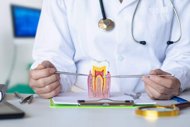 Best Emergency Treatment for Toothache in Buffalo, WY